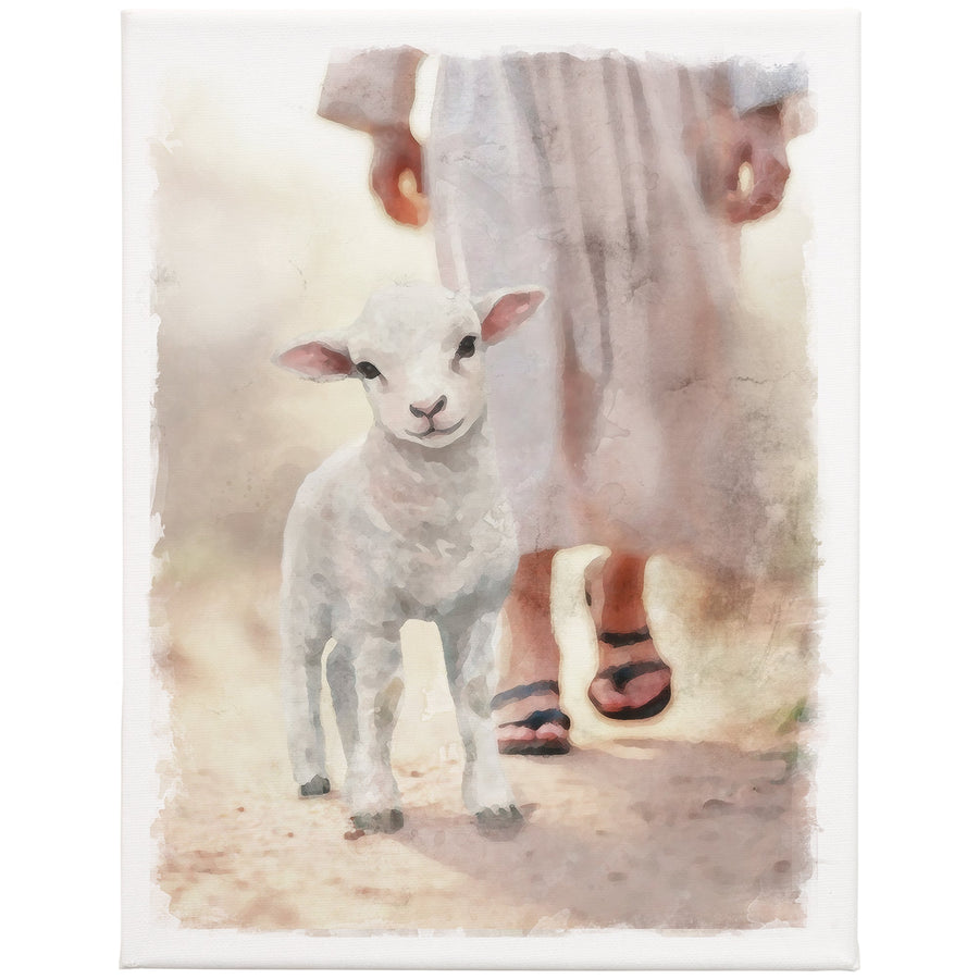Lamb Walking On Path