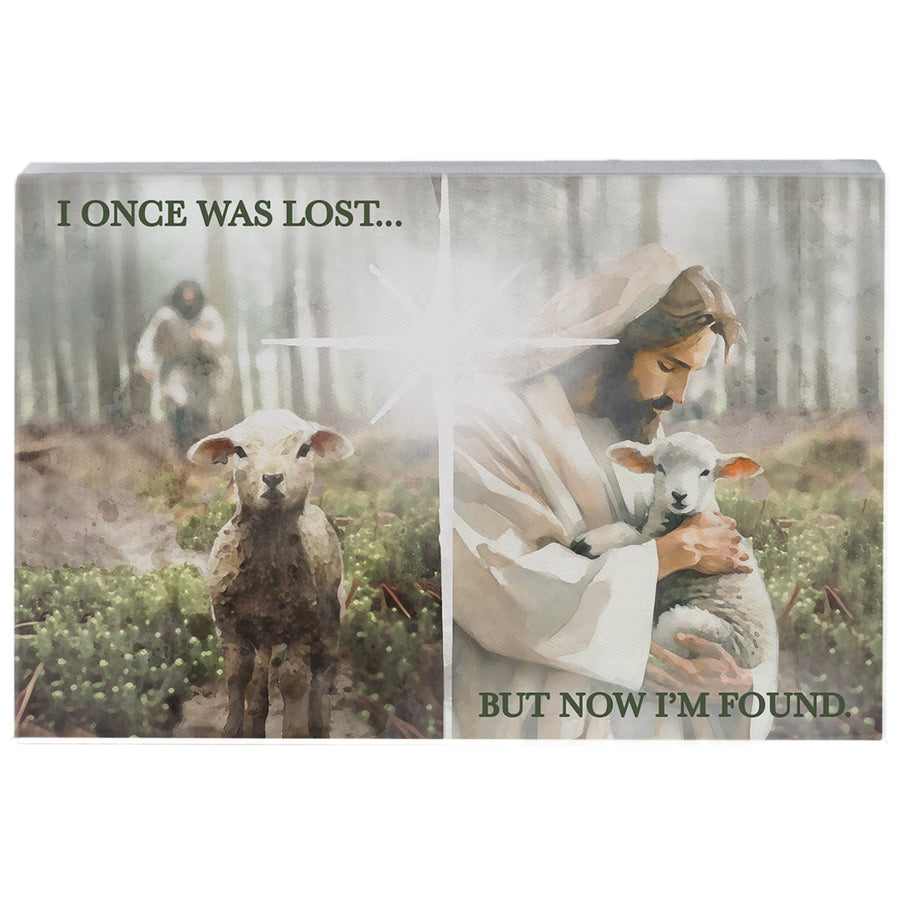 Lost Found Lamb